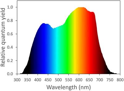 Photosynthetic Physiology of Blue, Green, and Red Light: Light Intensity Effects and Underlying Mechanisms